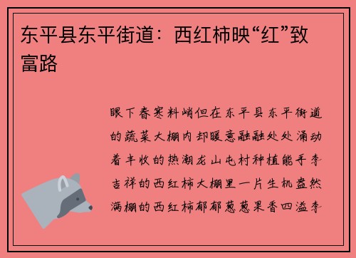 东平县东平街道：西红柿映“红”致富路