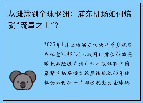 从滩涂到全球枢纽：浦东机场如何炼就“流量之王”？
