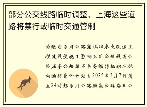 部分公交线路临时调整，上海这些道路将禁行或临时交通管制