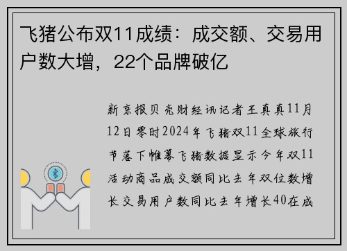 飞猪公布双11成绩：成交额、交易用户数大增，22个品牌破亿