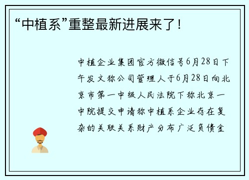 “中植系”重整最新进展来了！